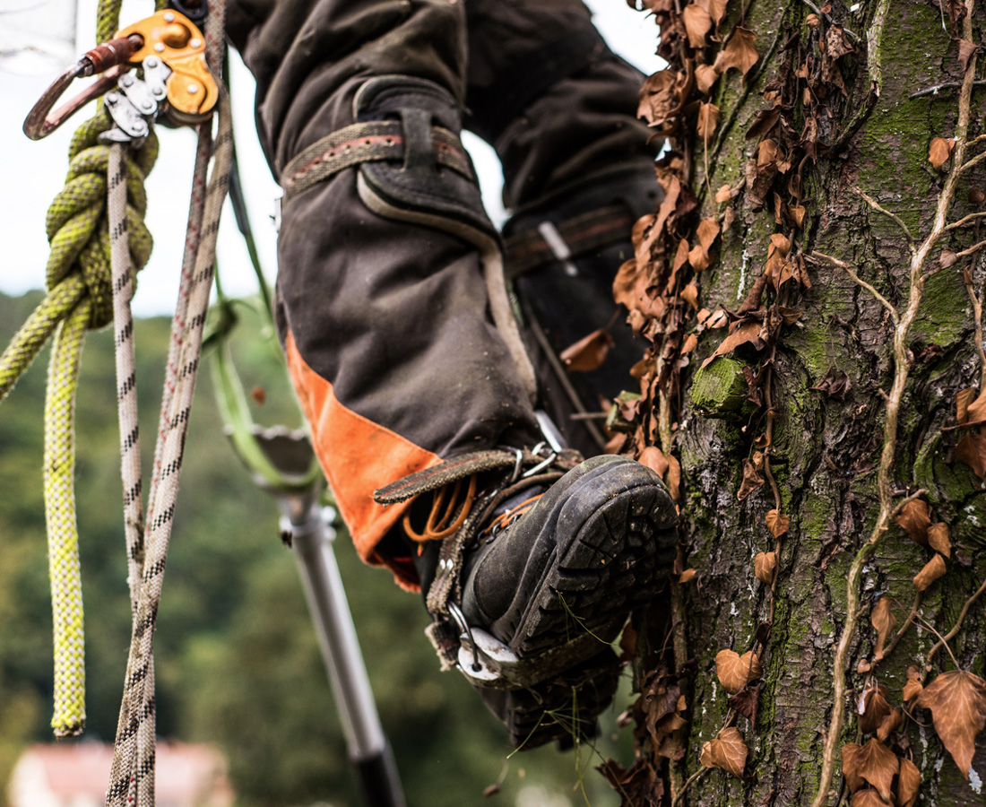 Contact | Smerdon Tree Services | Expert Arborists in South Wales